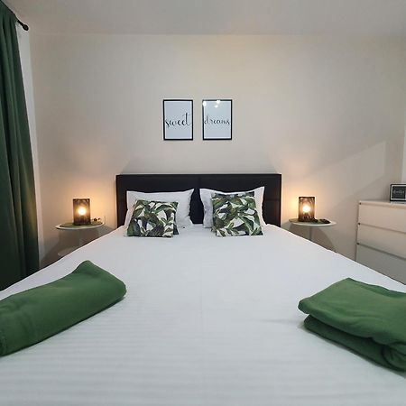 Green Apartment Coresi Braszów Zewnętrze zdjęcie