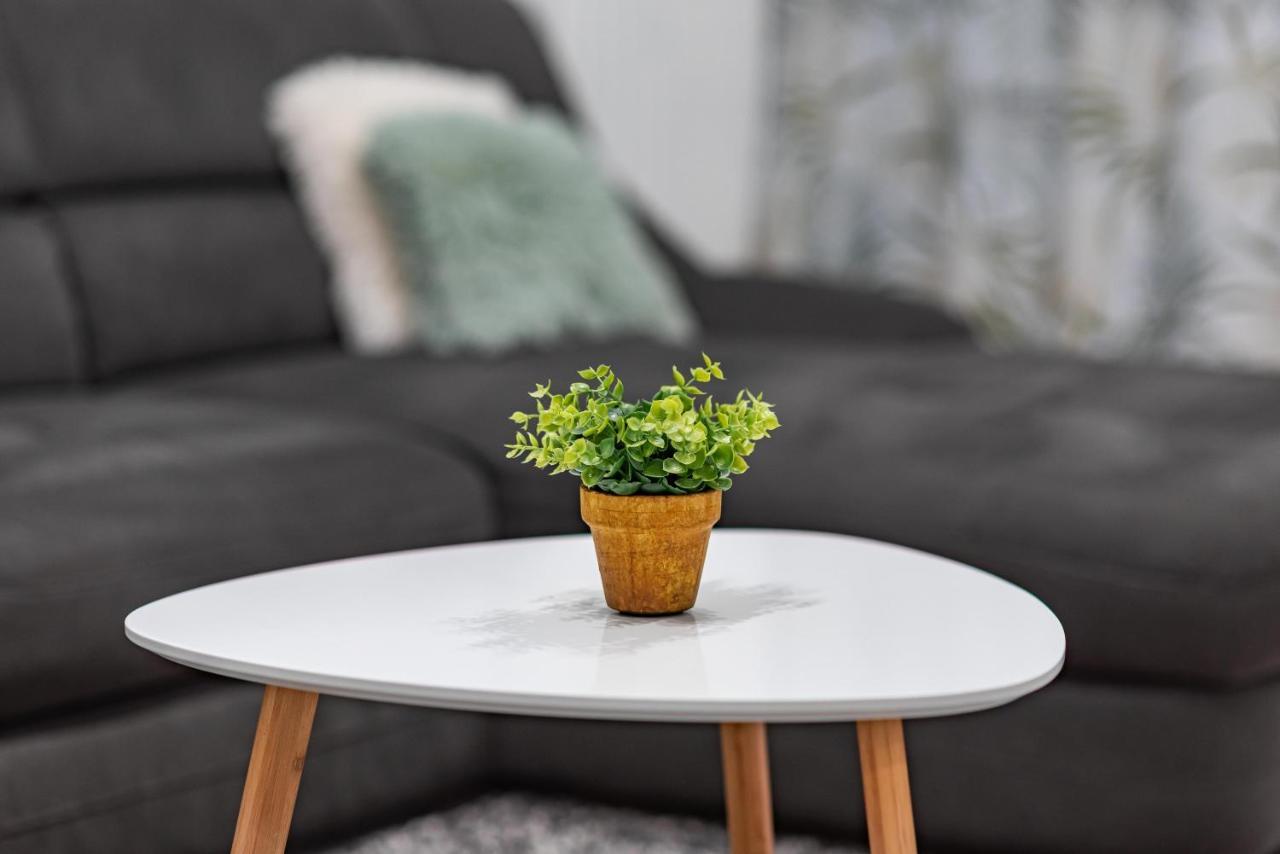 Green Apartment Coresi Braszów Zewnętrze zdjęcie