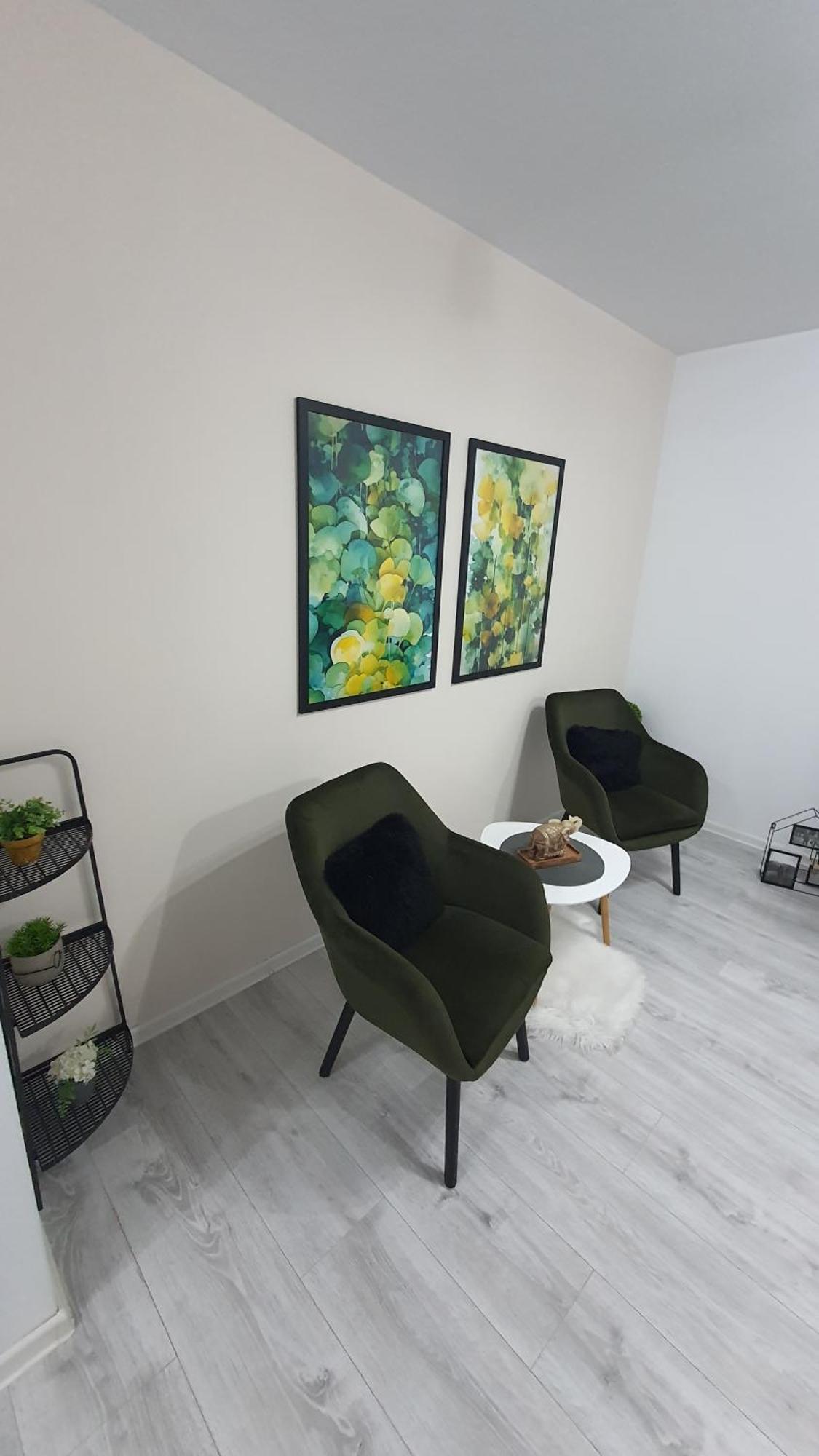 Green Apartment Coresi Braszów Zewnętrze zdjęcie